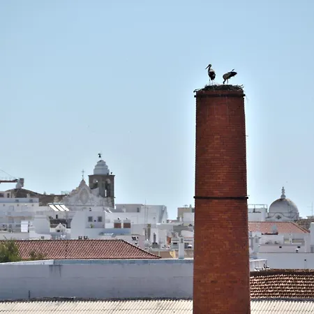 Stork Olhão