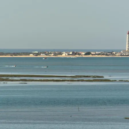 Stork Olhao